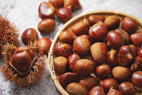 밤의 건강 효능